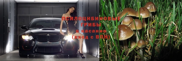 хмурый Балабаново