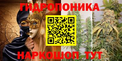 крисы Аргун