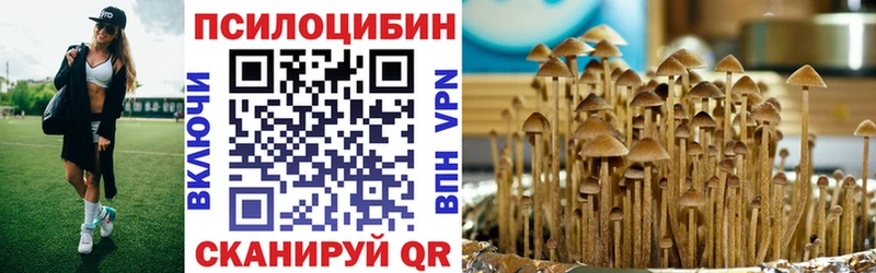 Псилоцибиновые грибы Cubensis  Горно-Алтайск 