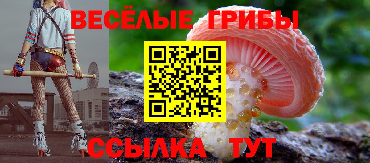 Горно-Алтайск  Галлюциногенные грибы Psilocybe  Галлюциногенные грибы Cubensis  Вход с VPN 